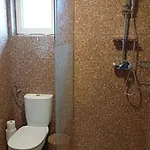 La Maison Kosta, * Sfântu Gheorghe